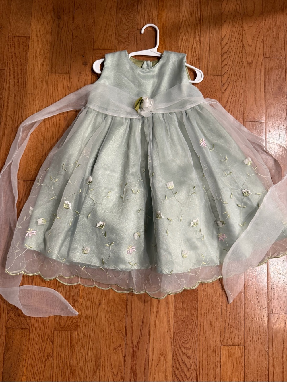 Vintage Lida California floral mesh sage Green Party dress holiday - size 24 mos